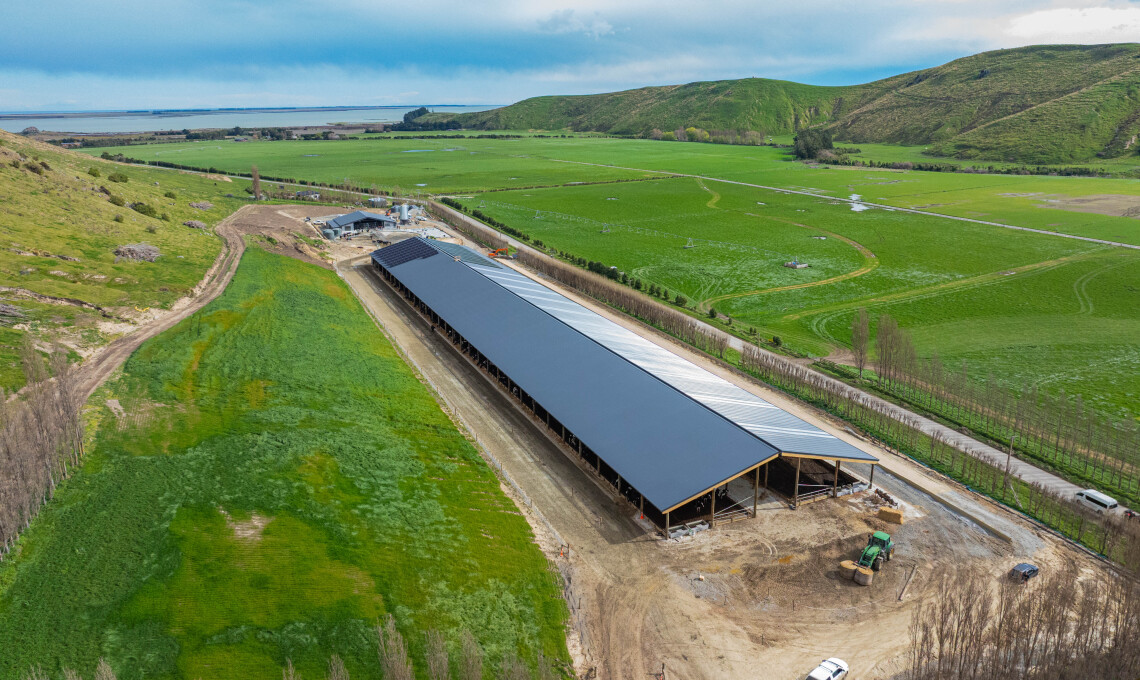 DJI 20250901134432 0013 D